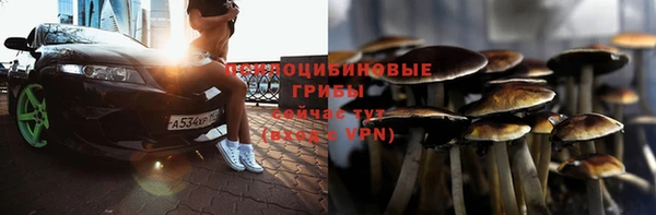 гидропоника Белокуриха