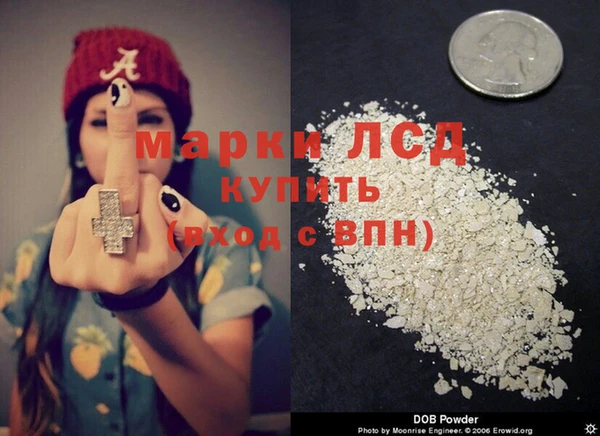 гидропоника Белокуриха