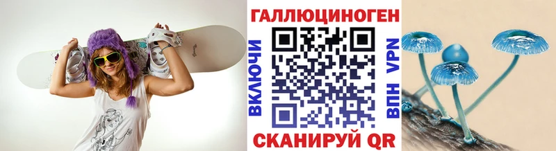 сайты даркнета телеграм  гидра ONION  Светлогорск  цены наркотик  Галлюциногенные грибы мухоморы 
